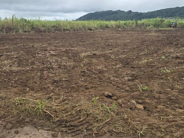 Agricultural Land