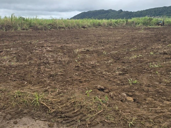 Terrain Agricole