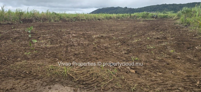 Terrain agricole de 4 216 m² à vendre à Mare d'Albert