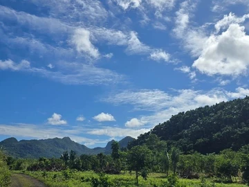 Agricultural Land