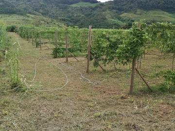 Agricultural Land