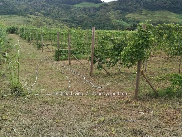 Farm for sale in Chamouny — Sea & Mountain Views