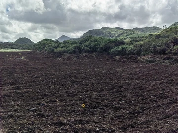 Terrain Agricole