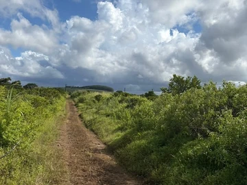 Agricultural Land