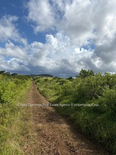 Terrain agricole 3,63 ha à Espérance — Sentier et vue montagne