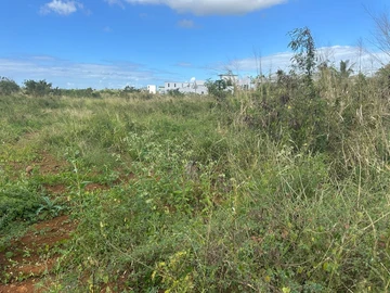 Residential Land