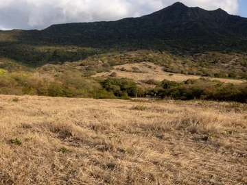 Residential Land