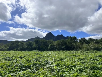 Terrain Agricole
