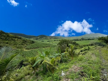 Terrain Agricole