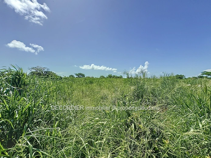 Terrain agricole en conversion résidentielle
