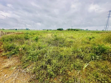 Agricultural Land