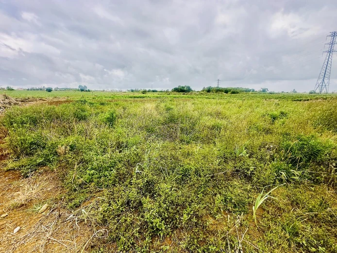 961M² De Terrain Agricole À La Laura – Environnement Calme Proche De St Pierre