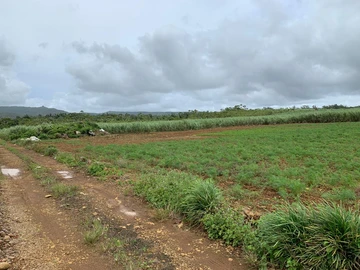 Agricultural Land