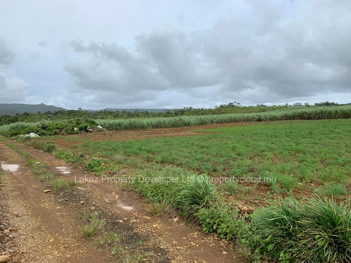 Agricultural land for sale Bois Cheri 