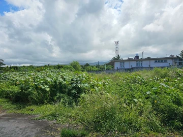 Residential Land