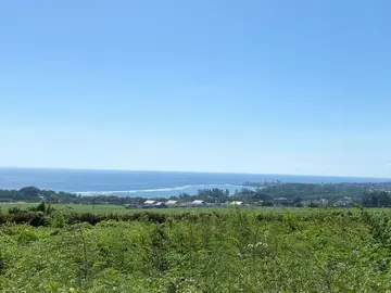 Residential Land