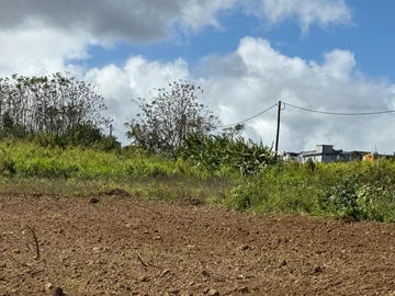 Agricultural Land