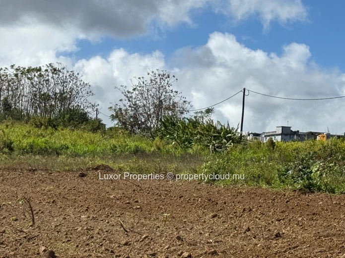 AGRICULTURAL LAND FOR SALE – Vacoas La Caverne