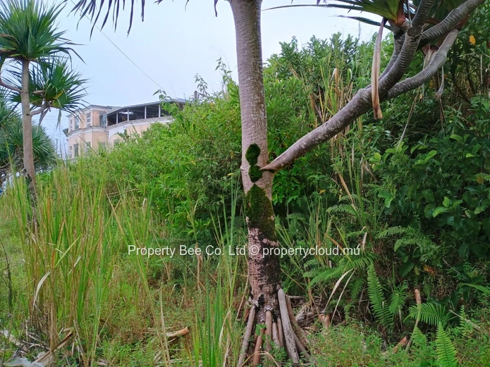 Development land: 85% of a residential arpent with 2 old buildings