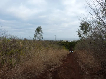Residential Land