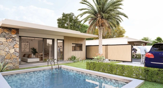Single-Storey Contemporary Villa 