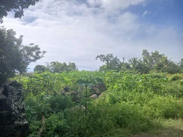 Residential Land