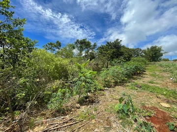 Residential Land
