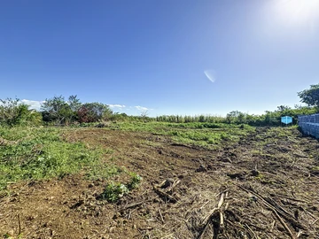 Land