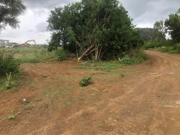 Terrain