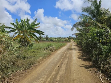 Agricultural Land