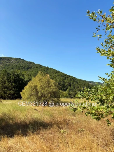 Residential Land for Sale – Albion 