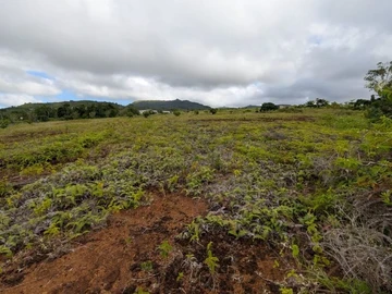 Residential Land