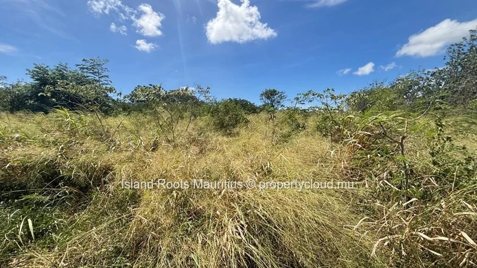 Industrial Land Opportunity – The Vale