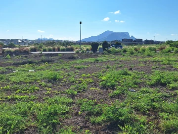 Residential Land