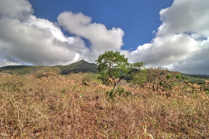 Beautiful residential plot of 2157 m2 offering sea 