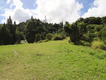 Commercial Land