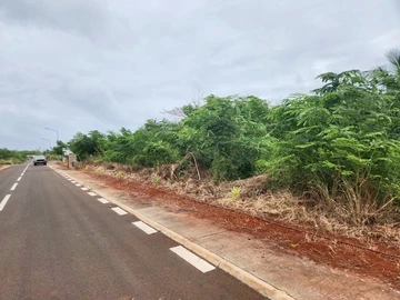 Commercial Land