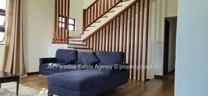 Pet friendly house with swimming pool and garden