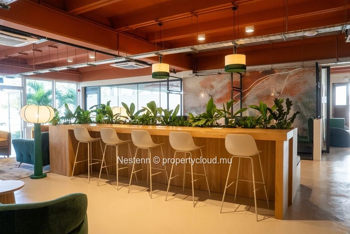 Premium business offices of 33.5m2
