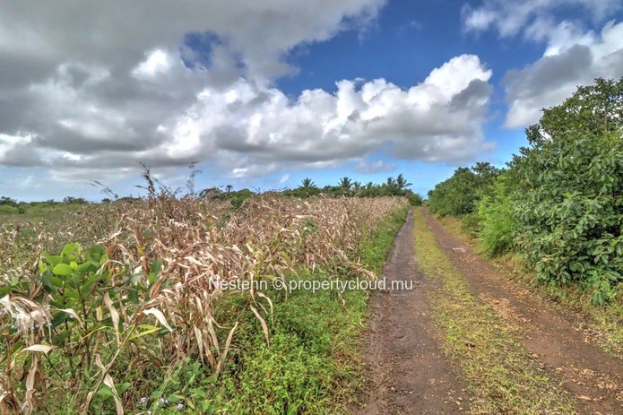 Terrain agricole de 2113m2
