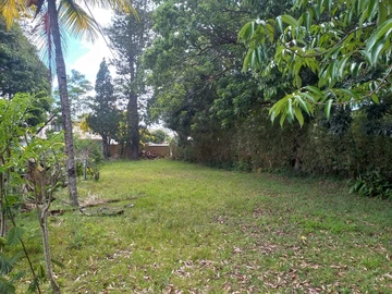 Office for rent in Quatre-Bornes - Prime Location!