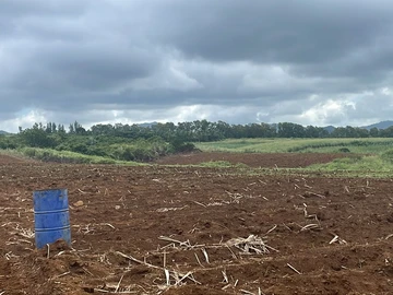 Agricultural Land