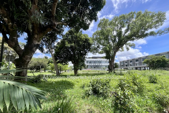 À vendre : Terrain commercial 2 000 m² – Vivea Business Park, Moka