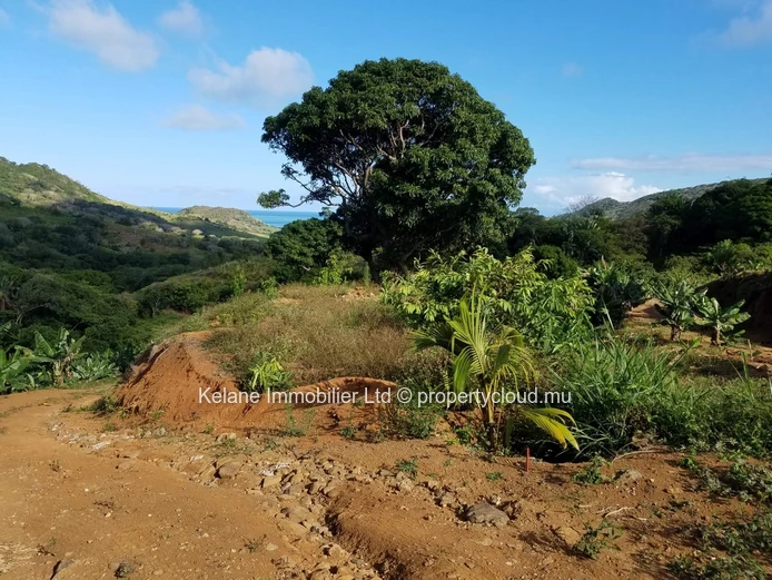 13.38 Arpents of Land for Sale | Anse Jonchée | Grand Port