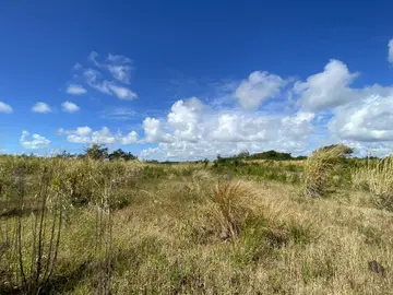 Agricultural Land