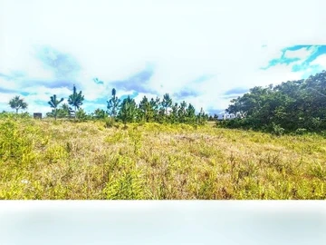 Terrain Résidentiel
