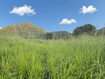 Land