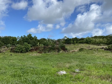 Terrain Agricole