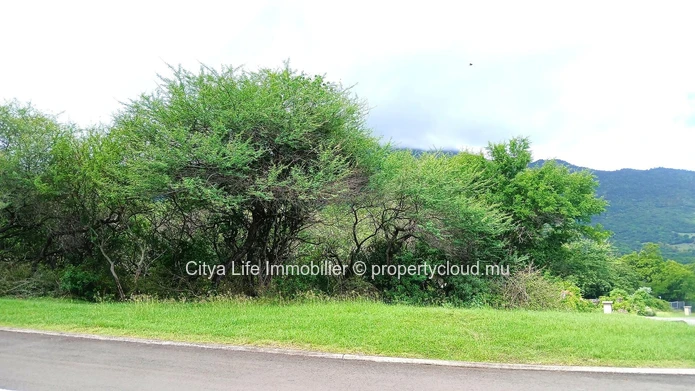 Terrain à Vendre – 2 785m² dans le Domaine de Palmyre