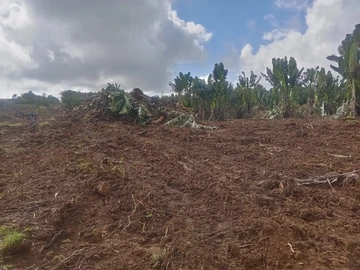 Agricultural Land